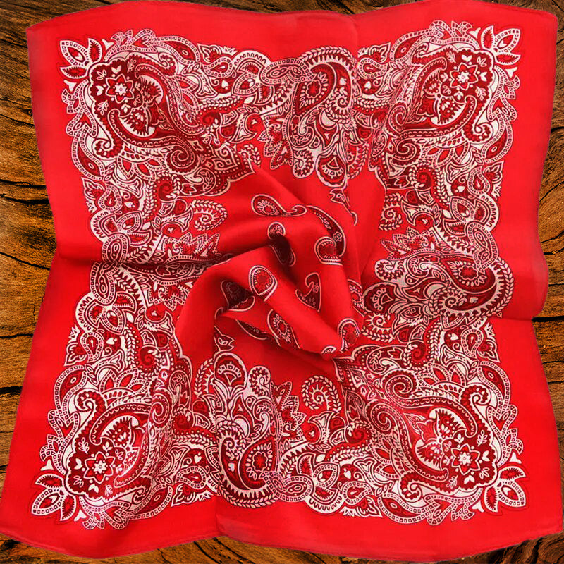 100% Silk Paisley Scarf | Red