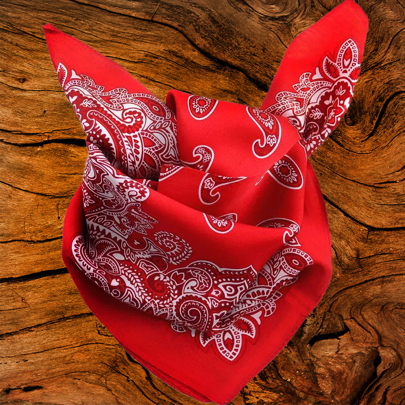 100% Silk Paisley Scarf | Red