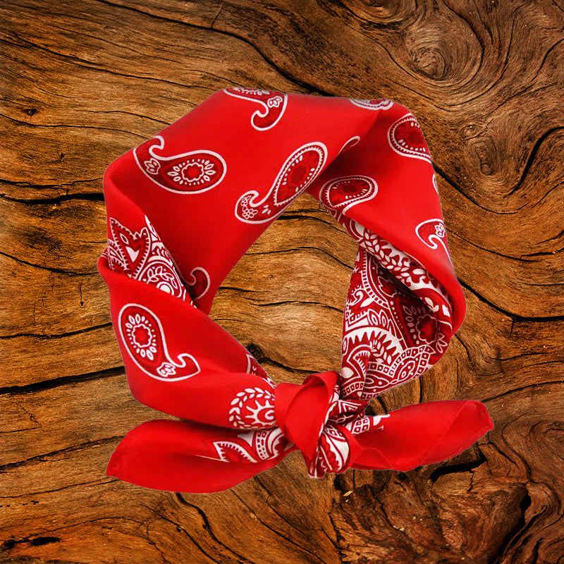 100% Silk Paisley Scarf | Red